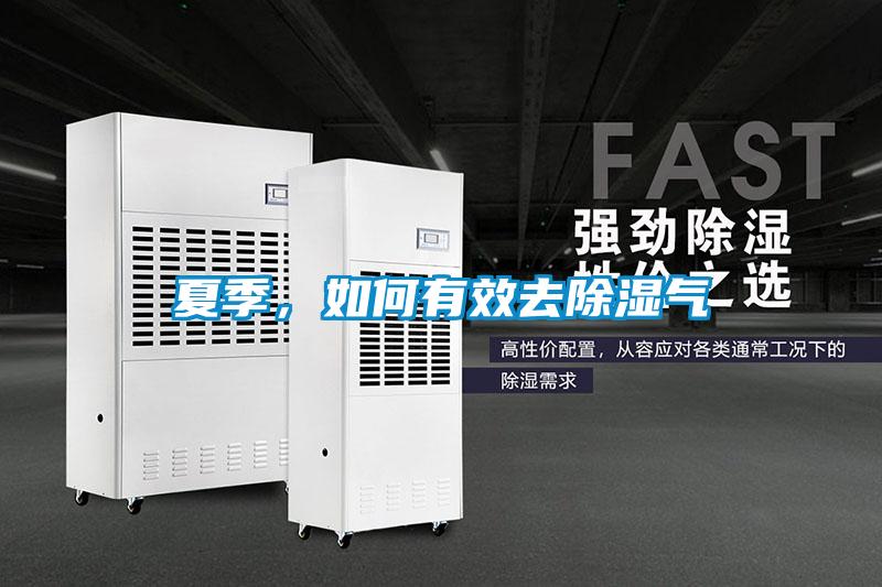 夏季，如何有效去除濕氣