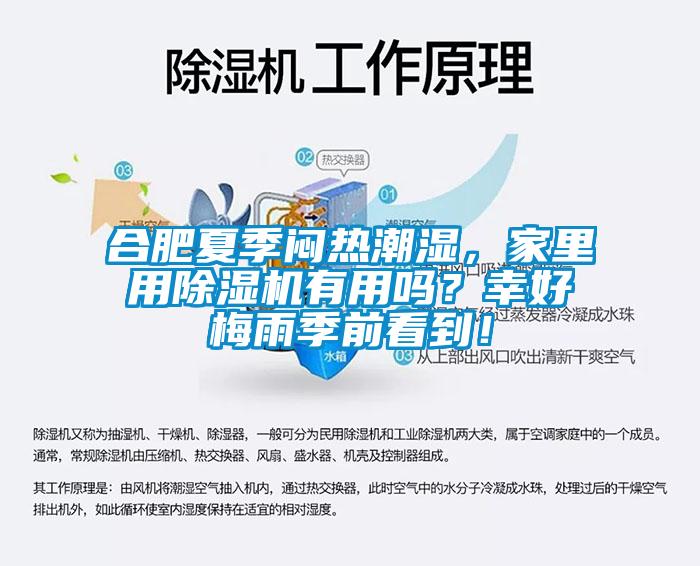合肥夏季悶熱潮濕，家里用除濕機有用嗎？幸好梅雨季前看到！