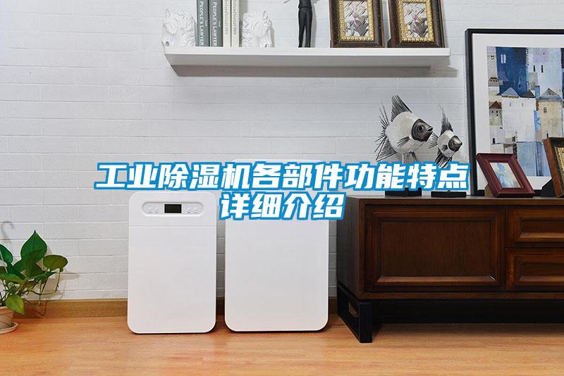 工業(yè)除濕機各部件功能特點(diǎn)詳細介紹