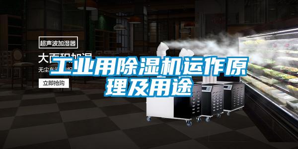 工業(yè)用除濕機運作原理及用途