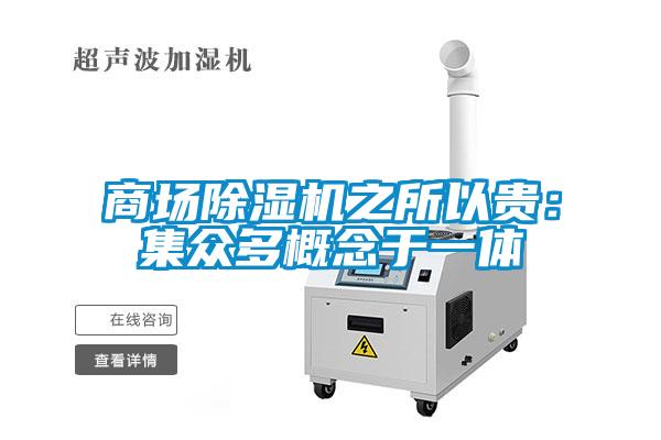 商場(chǎng)除濕機之所以貴：集眾多概念于一體