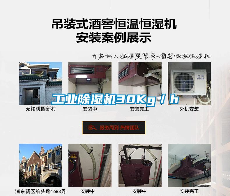 工業(yè)除濕機30Kg／h