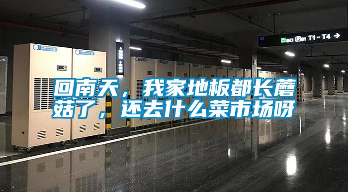 回南天，我家地板都長(cháng)蘑菇了，還去什么菜市場(chǎng)呀
