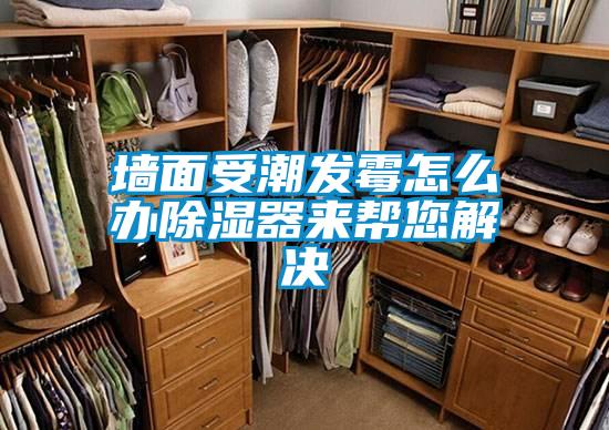 墻面受潮發(fā)霉怎么辦除濕器來(lái)幫您解決