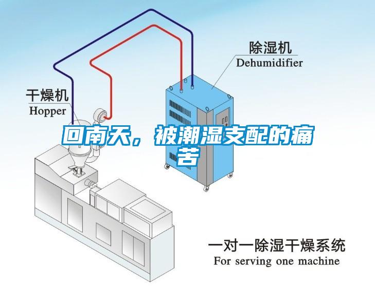 回南天，被潮濕支配的痛苦