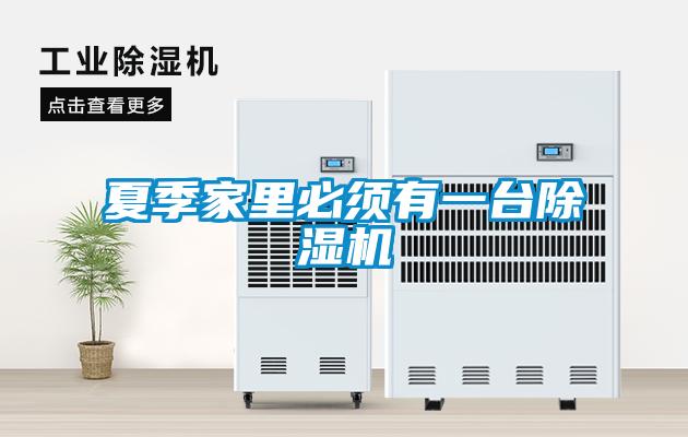 夏季家里必須有一臺除濕機