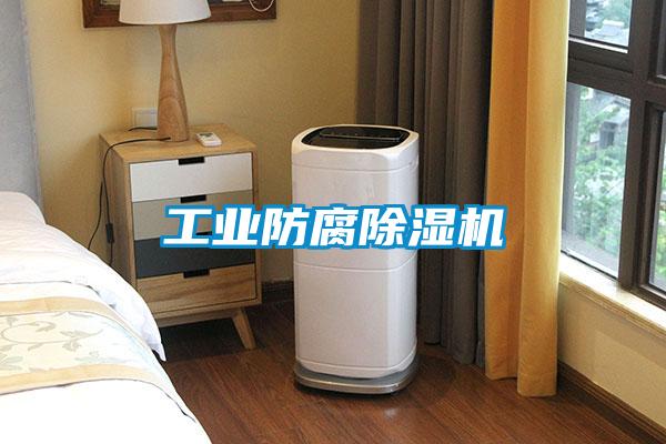 工業(yè)防腐除濕機