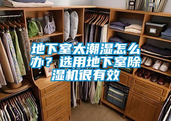 地下室太潮濕怎么辦？選用地下室除濕機很有效