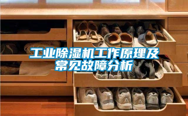 工業(yè)除濕機工作原理及常見(jiàn)故障分析