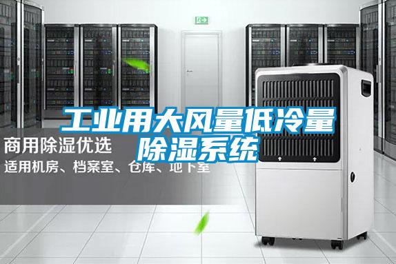 工業(yè)用大風(fēng)量低冷量除濕系統