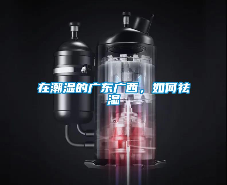 在潮濕的廣東廣西，如何祛濕