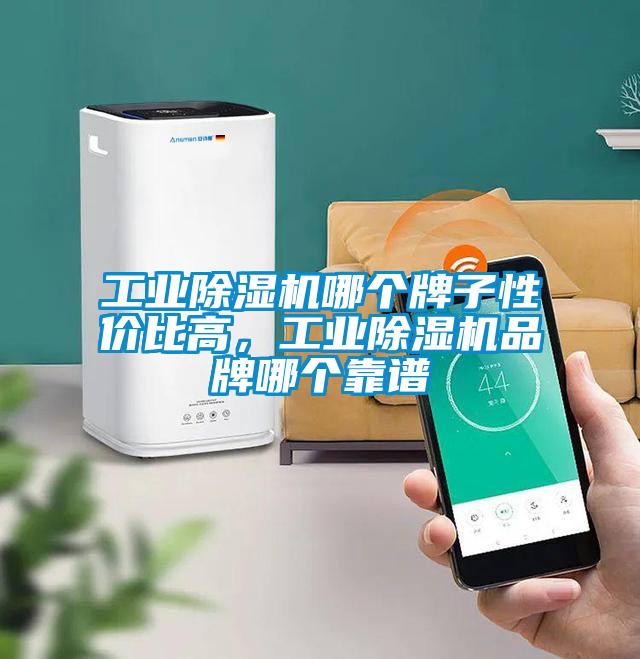 工業(yè)除濕機哪個(gè)牌子性?xún)r(jià)比高，工業(yè)除濕機品牌哪個(gè)靠譜