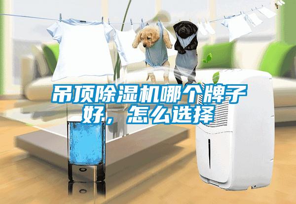 吊頂除濕機哪個(gè)牌子好，怎么選擇