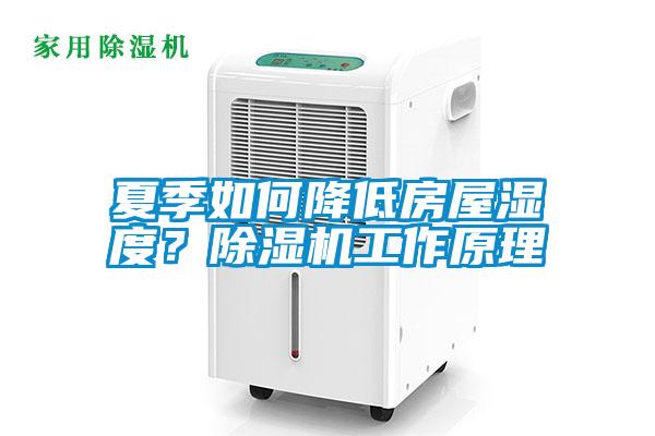 夏季如何降低房屋濕度？除濕機工作原理