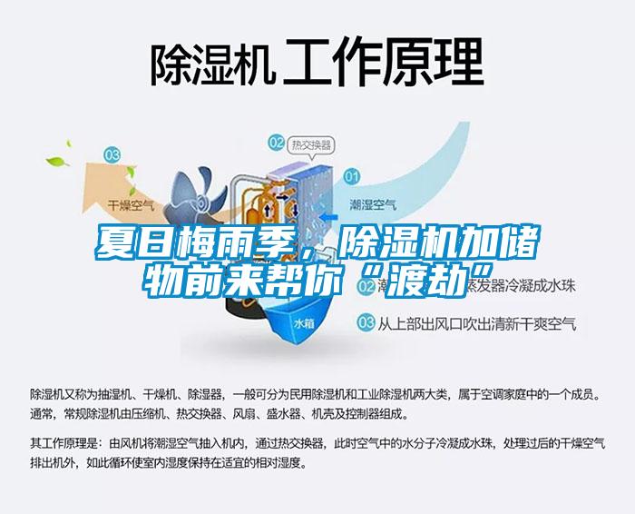 夏日梅雨季，除濕機加儲物前來(lái)幫你“渡劫”