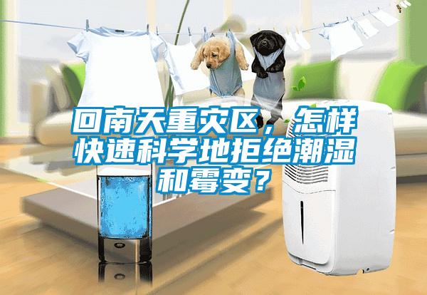 回南天重災區，怎樣快速科學(xué)地拒絕潮濕和霉變？