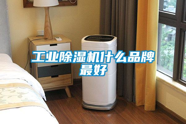 工業(yè)除濕機什么品牌最好