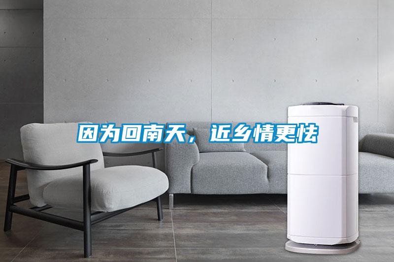 因為回南天，近鄉情更怯