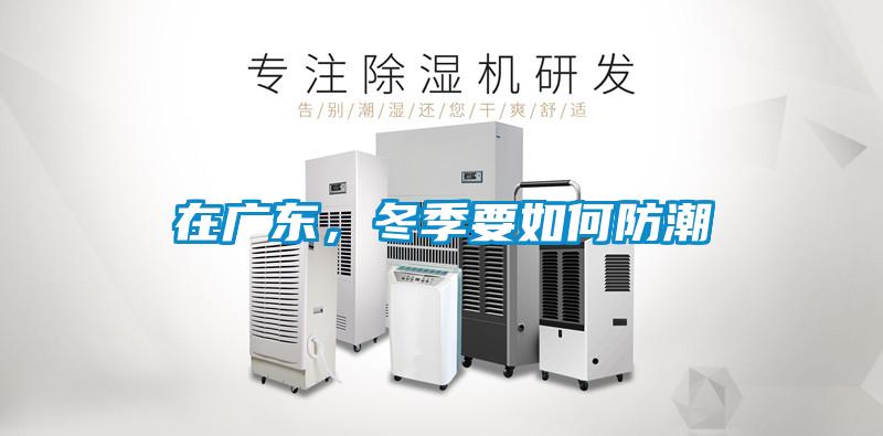 在廣東，冬季要如何防潮