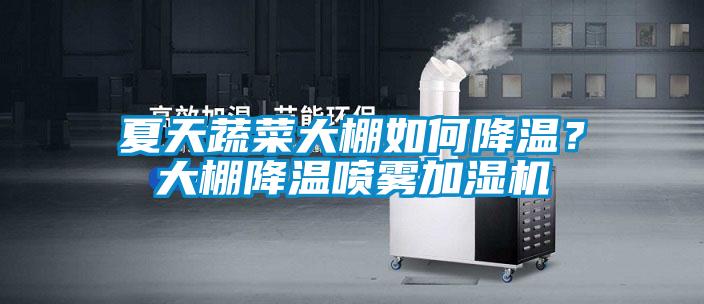 夏天蔬菜大棚如何降溫？大棚降溫噴霧加濕機