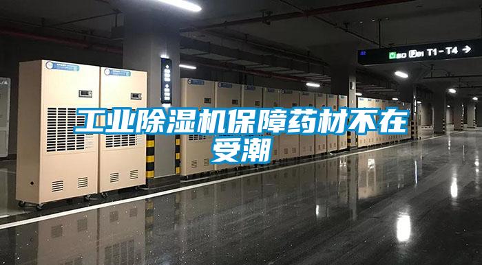工業(yè)除濕機保障藥材不在受潮