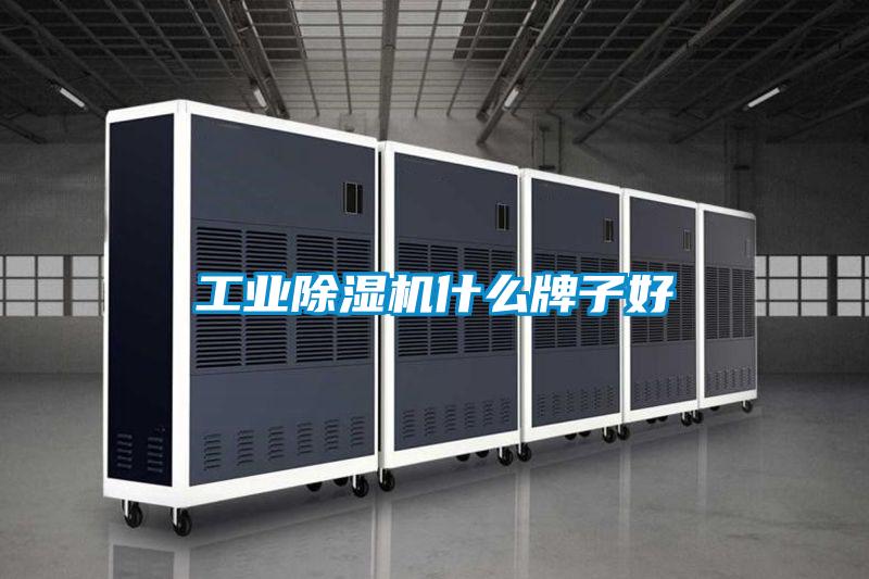 工業(yè)除濕機什么牌子好