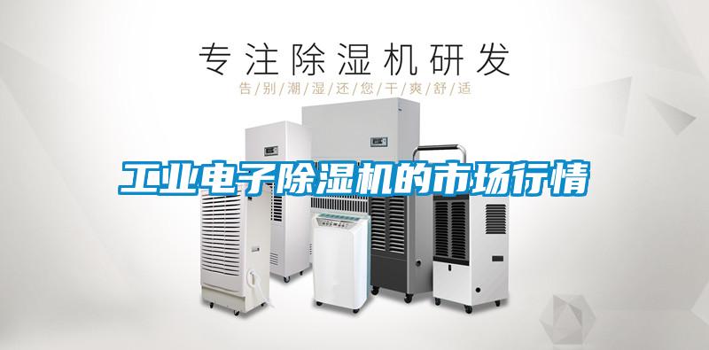 工業(yè)電子除濕機的市場(chǎng)行情