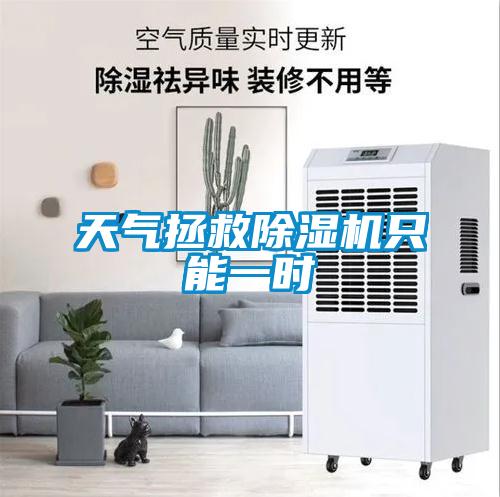天氣拯救除濕機只能一時(shí)