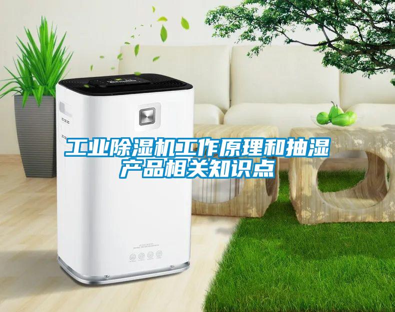 工業(yè)除濕機工作原理和抽濕產(chǎn)品相關(guān)知識點(diǎn)