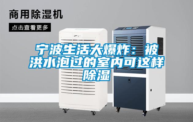 寧波生活大爆炸：被洪水泡過(guò)的室內可這樣除濕