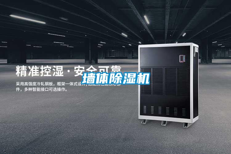 墻體除濕機