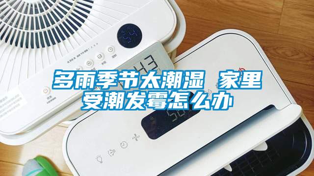 多雨季節太潮濕 家里受潮發(fā)霉怎么辦