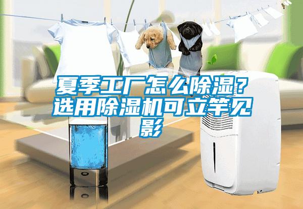 夏季工廠(chǎng)怎么除濕?選用除濕機可立竿見(jiàn)影