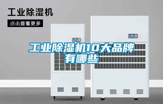 工業(yè)除濕機10大品牌有哪些
