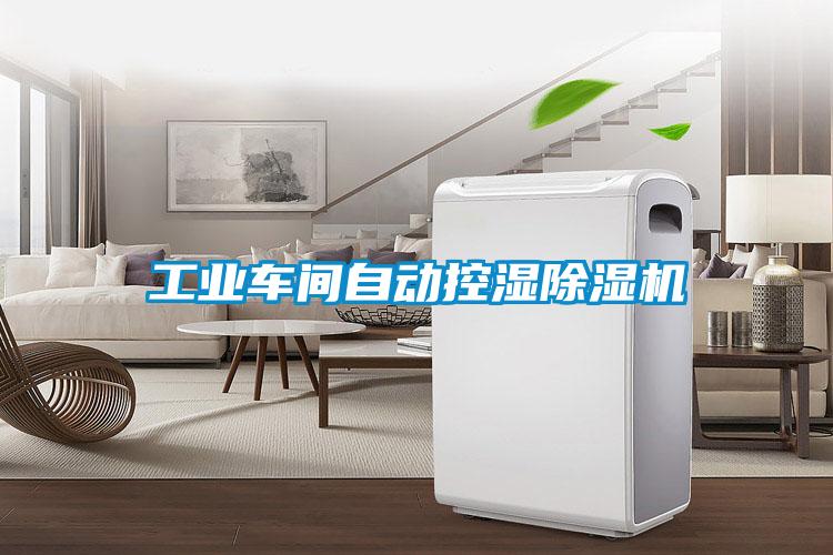 工業(yè)車(chē)間自動(dòng)控濕除濕機