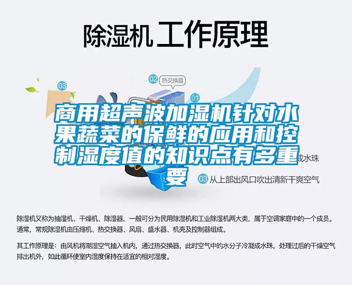 商用超聲波加濕機針對水果蔬菜的保鮮的應用和控制濕度值的知識點(diǎn)有多重要
