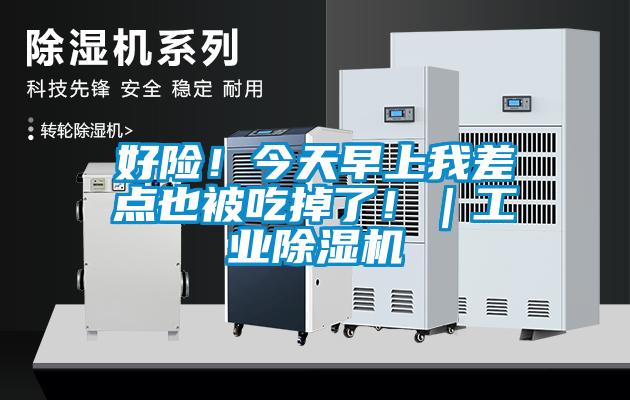 好險！今天早上我差點(diǎn)也被吃掉了?。I(yè)除濕機