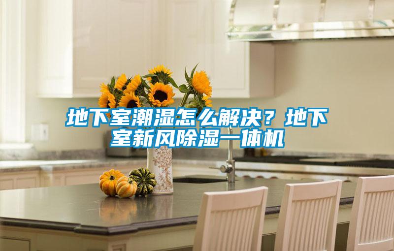地下室潮濕怎么解決？地下室新風(fēng)除濕一體機