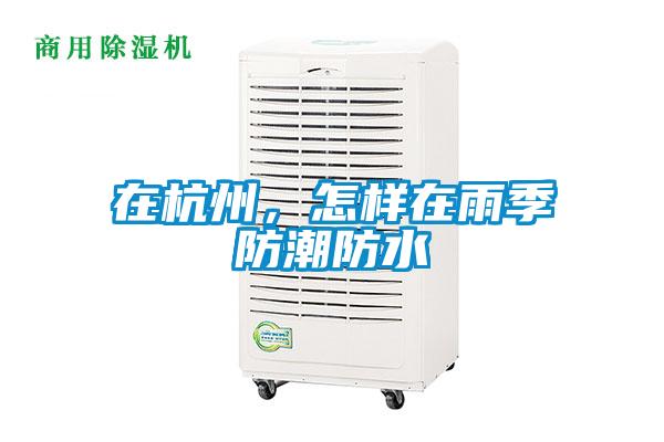 在杭州，怎樣在雨季防潮防水