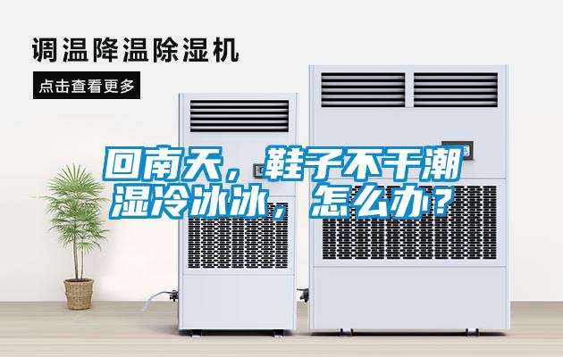 回南天，鞋子不干潮濕冷冰冰，怎么辦？
