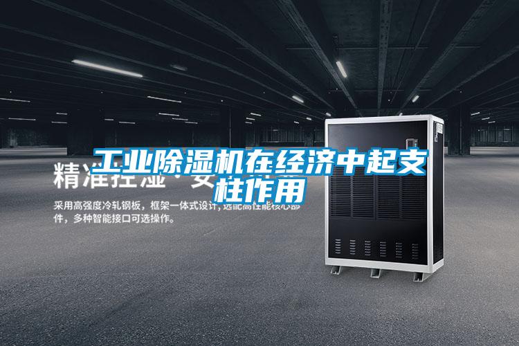工業(yè)除濕機在經(jīng)濟中起支柱作用