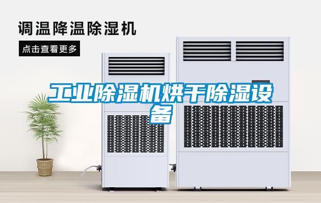 工業(yè)除濕機烘干除濕設備
