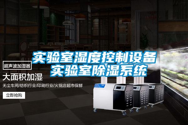 實(shí)驗室濕度控制設備 實(shí)驗室除濕系統