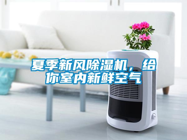 夏季新風(fēng)除濕機，給你室內新鮮空氣