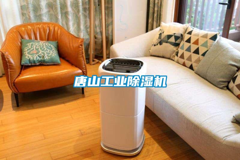 唐山工業(yè)除濕機