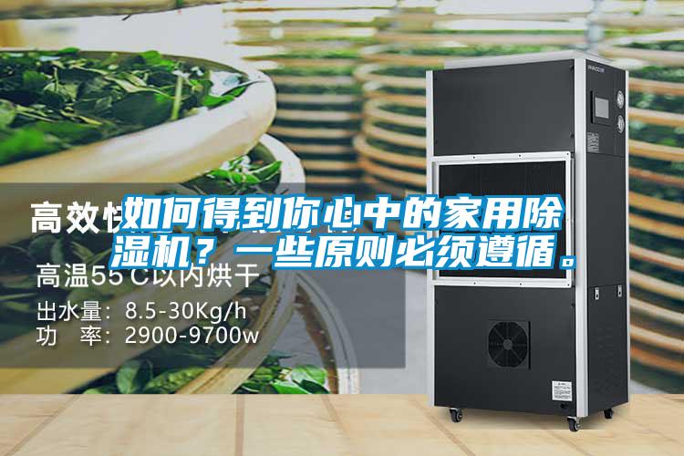 如何得到你心中的家用除濕機？一些原則必須遵循。