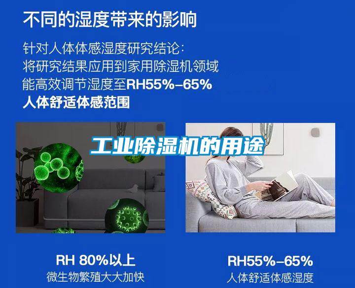 工業(yè)除濕機的用途