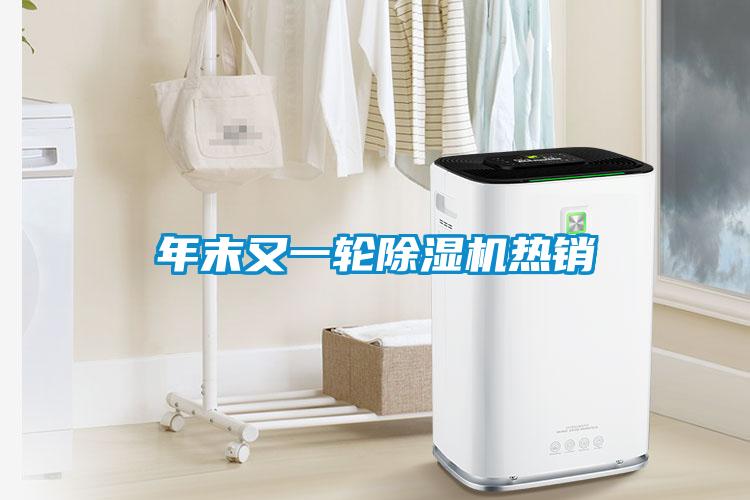 年末又一輪除濕機熱銷(xiāo)