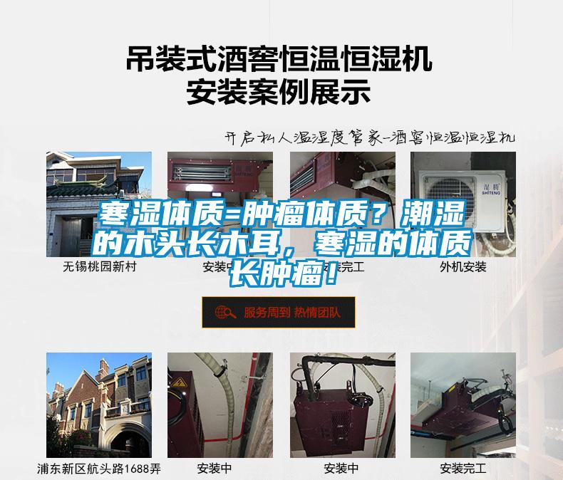 寒濕體質(zhì)=腫瘤體質(zhì)？潮濕的木頭長(cháng)木耳，寒濕的體質(zhì)長(cháng)腫瘤！