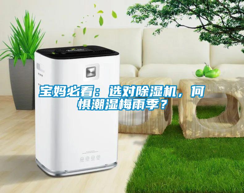 寶媽必看：選對除濕機，何懼潮濕梅雨季？